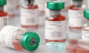 نظام آراستگی سازمان