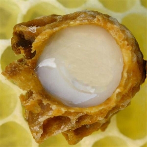 خواص ژل رویال