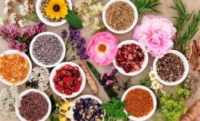 دوره آموزشی اصلاح سبک زندگی (طب سنتی)