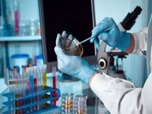 وضعیت استخدام تکنسین آزمایشگاه